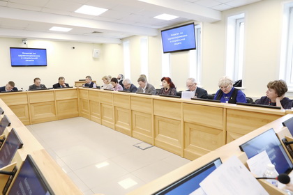 Законопроекты о социальной поддержке граждан рекомендовал принять комитет по здравоохранению